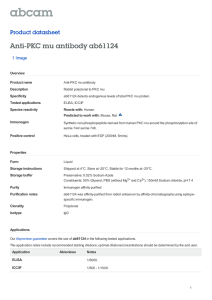 Anti-PKC mu antibody ab61124 Product datasheet 1 Image Overview