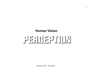 Human Vision  1 Human Vision - Perception