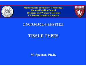 Massachusetts Institute of Technology Harvard Medical School Brigham and Women ’
