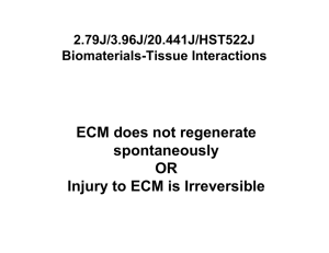 ECM does not regenerate spontaneously OR Injury to ECM is Irreversible