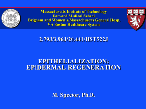 Massachusetts Institute of Technology Harvard Medical School Brigham and Women’s/Massachusetts General Hosp.