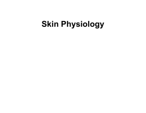 Skin Physiology