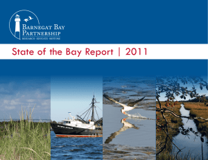 State of the Bay Report | 2011