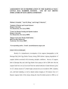 ASSESSMENT OF EUTROPHICATION IN THE BARNEGAT BAY- INDICATORS OF ESTUARINE CONDITION