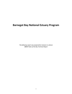 Barnegat Bay National Estuary Program    1