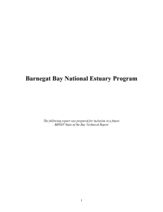 Barnegat Bay National Estuary Program 1