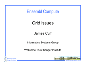 Ensembl Compute Grid issues James Cuff Informatics Systems Group