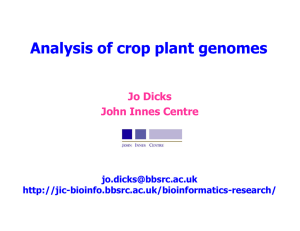 Analysis of crop plant genomes Jo Dicks John Innes Centre