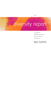 diversity report 2013 The publication highlighting diversity and
