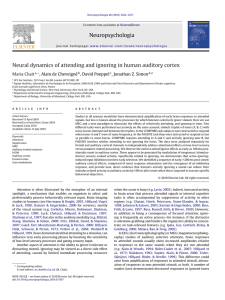 Neuropsychologia Neural dynamics of attending and ignoring in human auditory cortex