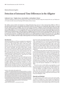 Detection of Interaural Time Differences in the Alligator Behavioral/Systems/Cognitive Catherine E. Carr,