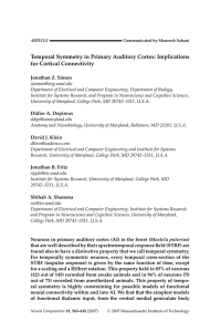 Temporal Symmetry in Primary Auditory Cortex: Implications for Cortical Connectivity