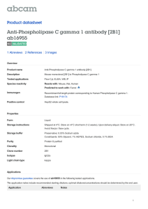Anti-Phospholipase C gamma 1 antibody [2B1] ab16955 Product datasheet 1 Abreviews
