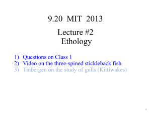 9.20  MIT  2013 Lecture #2 Ethology