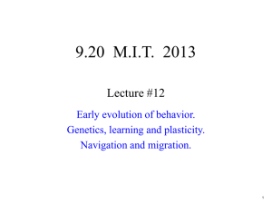 9.20  M.I.T.  2013 Lecture #12 Early evolution of behavior.