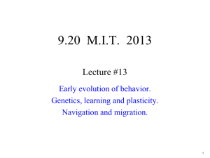 9.20  M.I.T.  2013 Lecture #13 Early evolution of behavior.