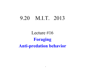 9.20    M.I.T.   2013 Lecture #16 Foraging Anti-predation behavior