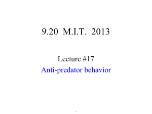 9.20  M.I.T.  2013 Lecture #17 Anti-predator behavior