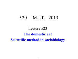 9.20     M.I.T.   2013 Lecture #23
