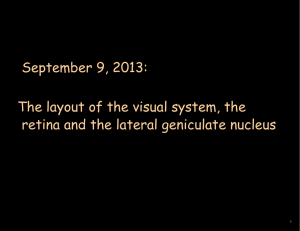 September 9, 2013: The layout of the visual system, the 1