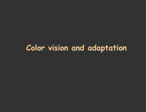 Color vision and adaptation 1