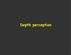 Depth perception 1