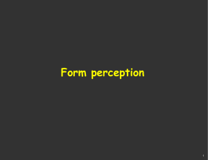 Form perception 1