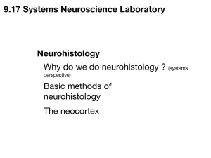 9.17 Systems Neuroscience Laboratory Neurohistology  Why do we do neurohistology ?