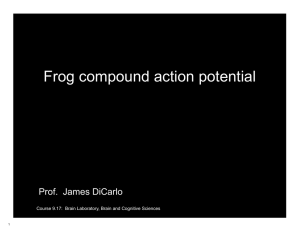 Frog compound action potential Prof.  James DiCarlo Course 9.