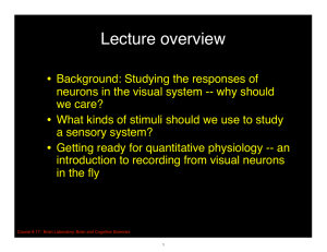 Lecture overview
