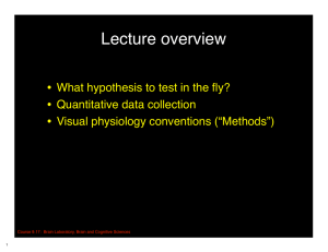 Lecture overview