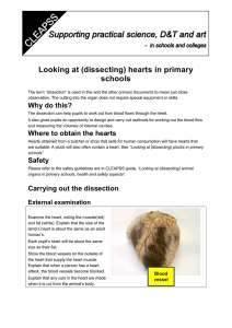 Looking at (dissecting) hearts in primary schools
