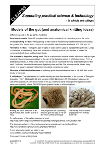 Models of the gut (and anatomical knitting ideas)