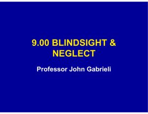 9.00 BLINDSIGHT &amp; NEGLECT Professor John Gabrieli