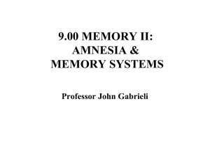 9.00 MEMORY II: AMNESIA &amp; MEMORY SYSTEMS Professor John Gabrieli