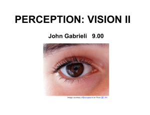 PERCEPTION: VISION II John Gabrieli  9.00 Image courtesy of kr.