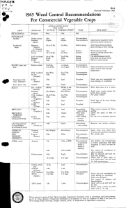 1965 Weed Control Recommendations For Commercial Vegetable Crops floW (0 DUPLICATE