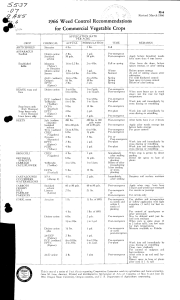 7 O7 1966 Weed Control Recommendations for Commercial Vegetable Crops