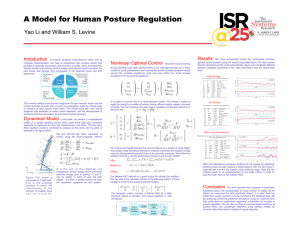 A Model for Human Posture Regulation