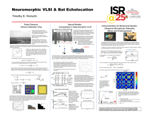 Neuromorphic VLSI &amp; Bat Echolocation Timothy K. Horiuchi