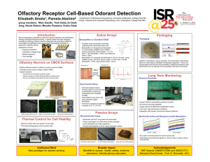 Olfactory Receptor Cell-Based Odorant Detection Elisabeth Smela , Pamela Abshire