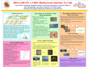 BIO - LABS ON A CHIP: BioElectronic Interface To Cells