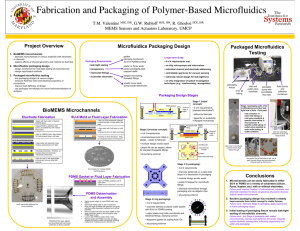 Fabrication and Packaging of Polymer-Based Microfluidics Project Overview T.M. Valentine , G.W. Rubloff