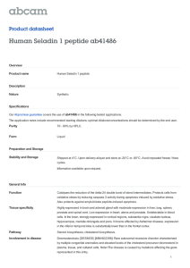 Human Seladin 1 peptide ab41486 Product datasheet Overview Product name