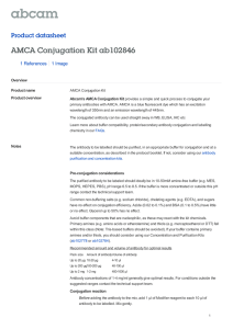 AMCA Conjugation Kit ab102846 Product datasheet 1 References 1 Image