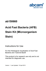 ab150660 Acid Fast Bacteria (AFB) Stain Kit (Microorganism Stain)