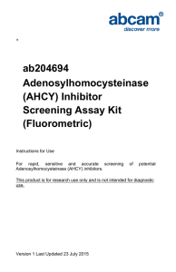 ab204694 Adenosylhomocysteinase (AHCY) Inhibitor Screening Assay Kit
