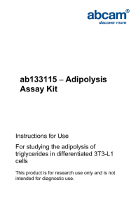 ab133115 – Adipolysis Assay Kit Instructions for Use For studying the adipolysis of