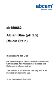 ab150662 Alcian Blue (pH 2.5) (Mucin Stain) Instructions for Use