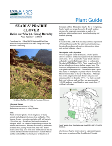 Plant Guide SEARLS’ PRAIRIE